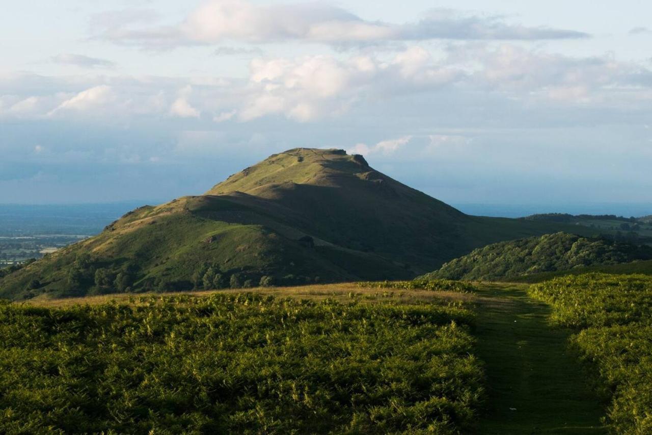 Nest Holiday Hideaway Wren Cottage Stunning Area! Church Stretton Eksteriør bilde
